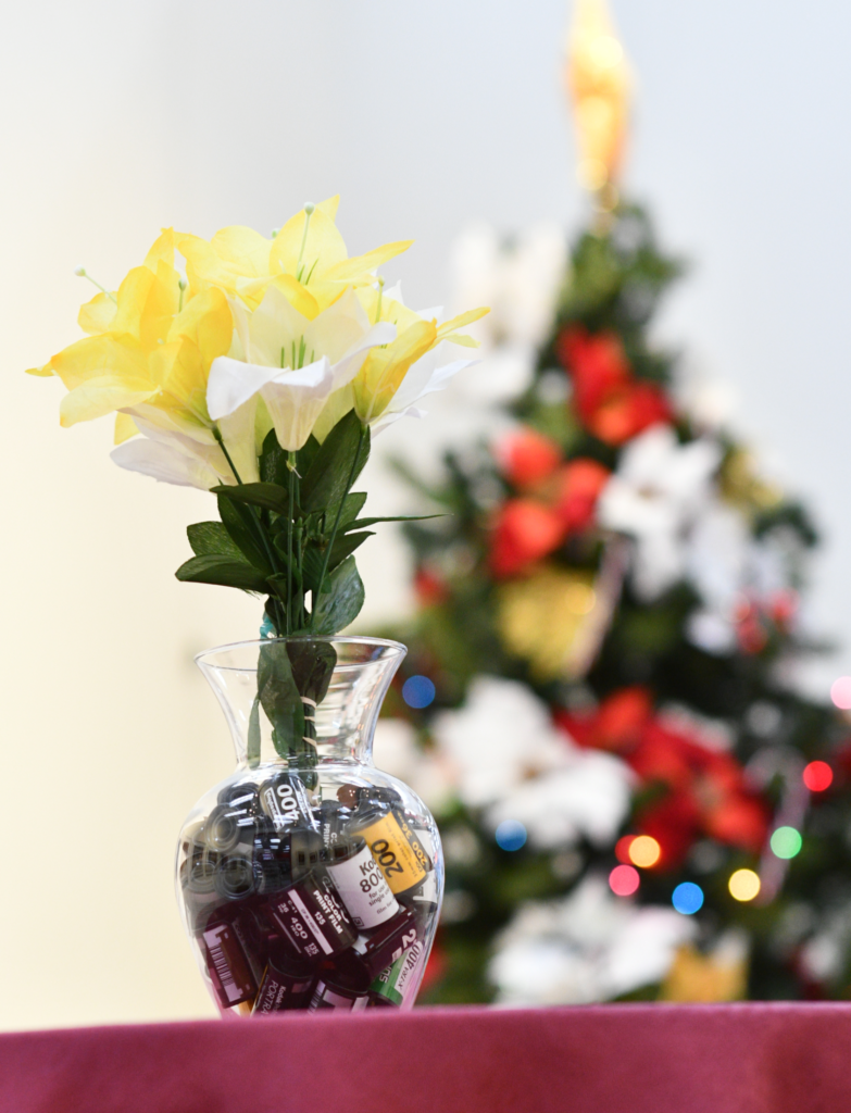 Holiday Flowers